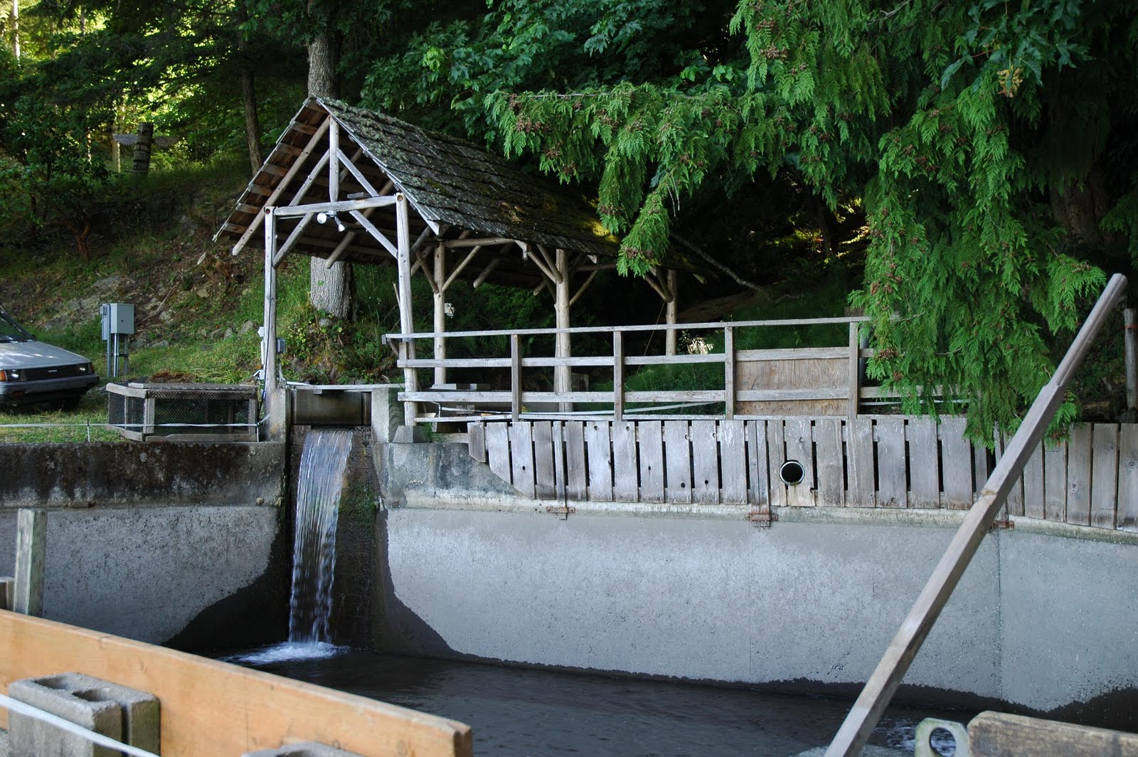 The Prep Cook Project Orcas Tour Doe Bay, Salmon and Oysters