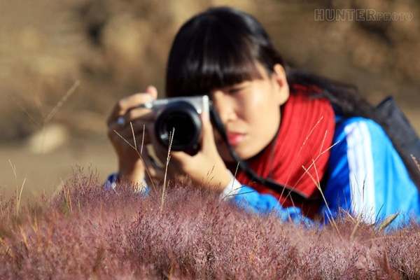 [Image: Sac-hong-lang-mang-voi-doi-hoa-co-dai-Da-Lat-5.jpg]