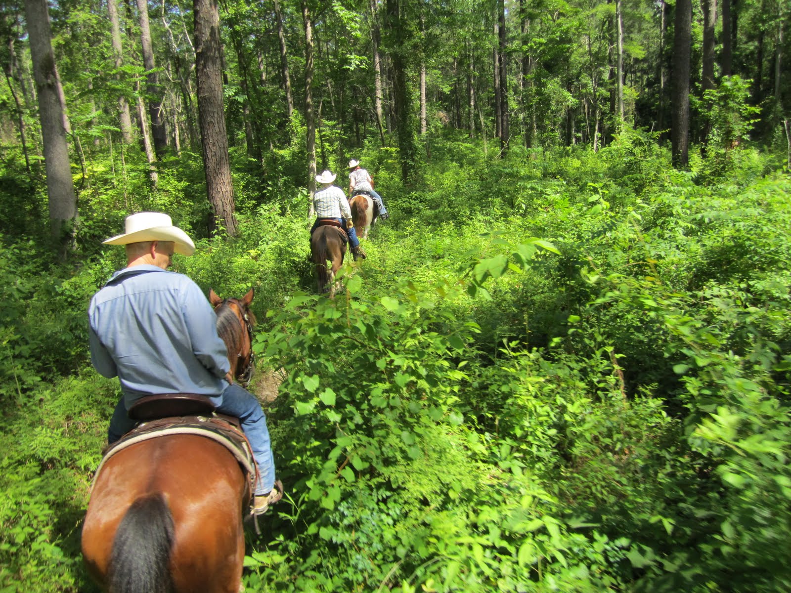 TRAIL RIDING IN TEXAS