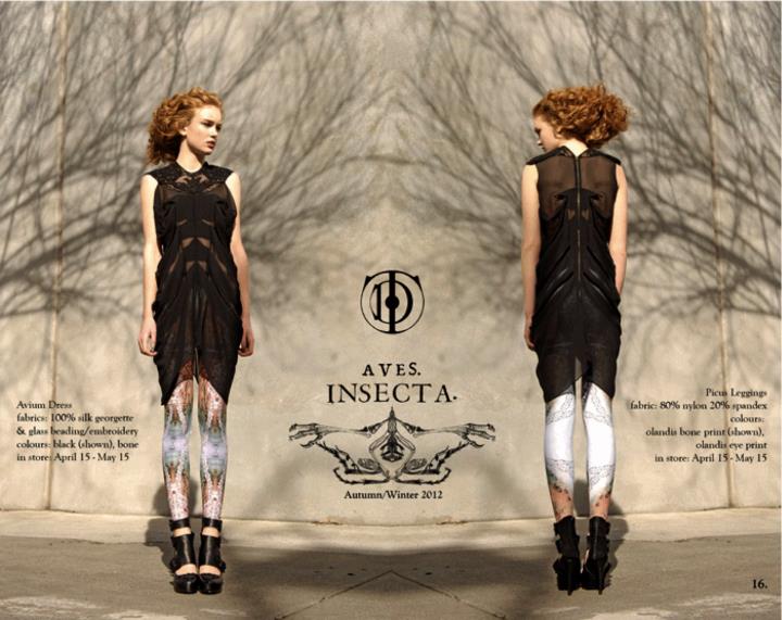 insecta.jpg