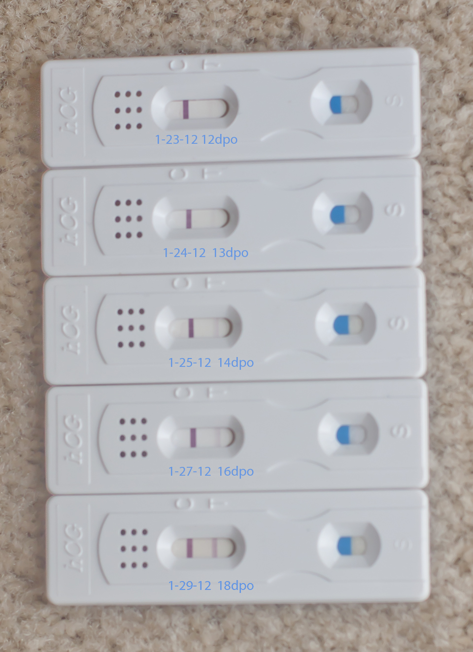A Moment In My World..... My pregnancy test journey/results!