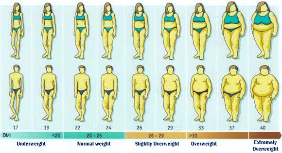 If you are now wondering what your own BMI is after looking at this chart, ... If you are now wondering what your own BMI is after looking at this chart, ...