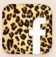 https://www.facebook.com/pages/Blog-Bela-Mulher/449028665131888?fref=ts