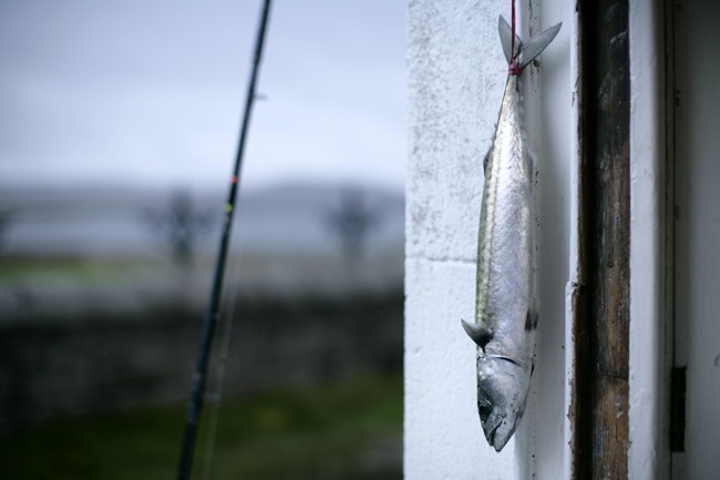 Homemade Fishing Lure Blog