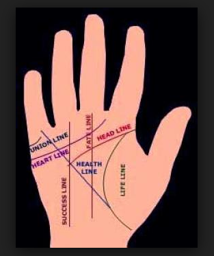 Palmistry Fortune Knowledge