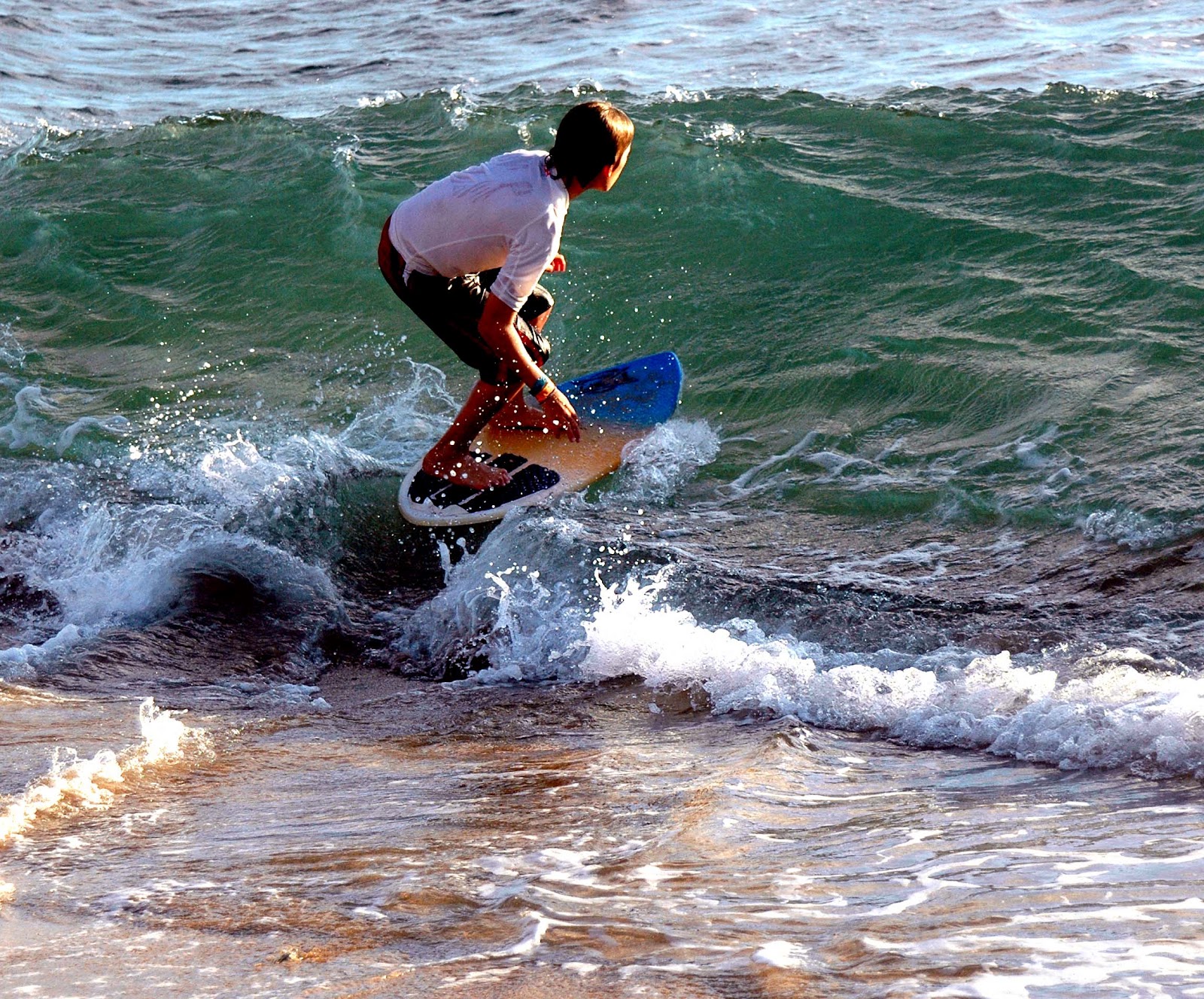 Skimboard e Wakeboard Portal Carpe Vita