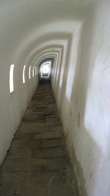 Cigar Cuba chính hiệu!!! Đẳng cấp ông chủ!!!! - 14