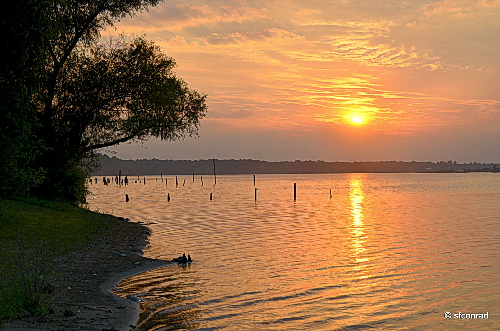 PUPPY PATHS RVing FullTime Catching Up!! + Beulah Lake, Aunt