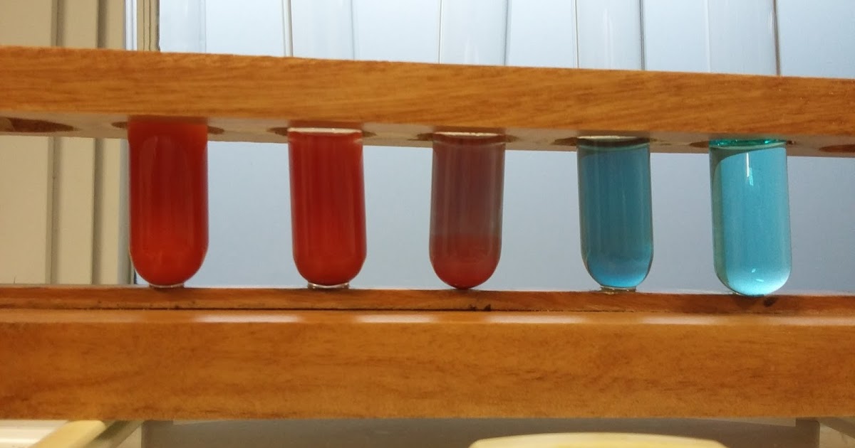 Science is fun Glucose Test using Benedict's solution