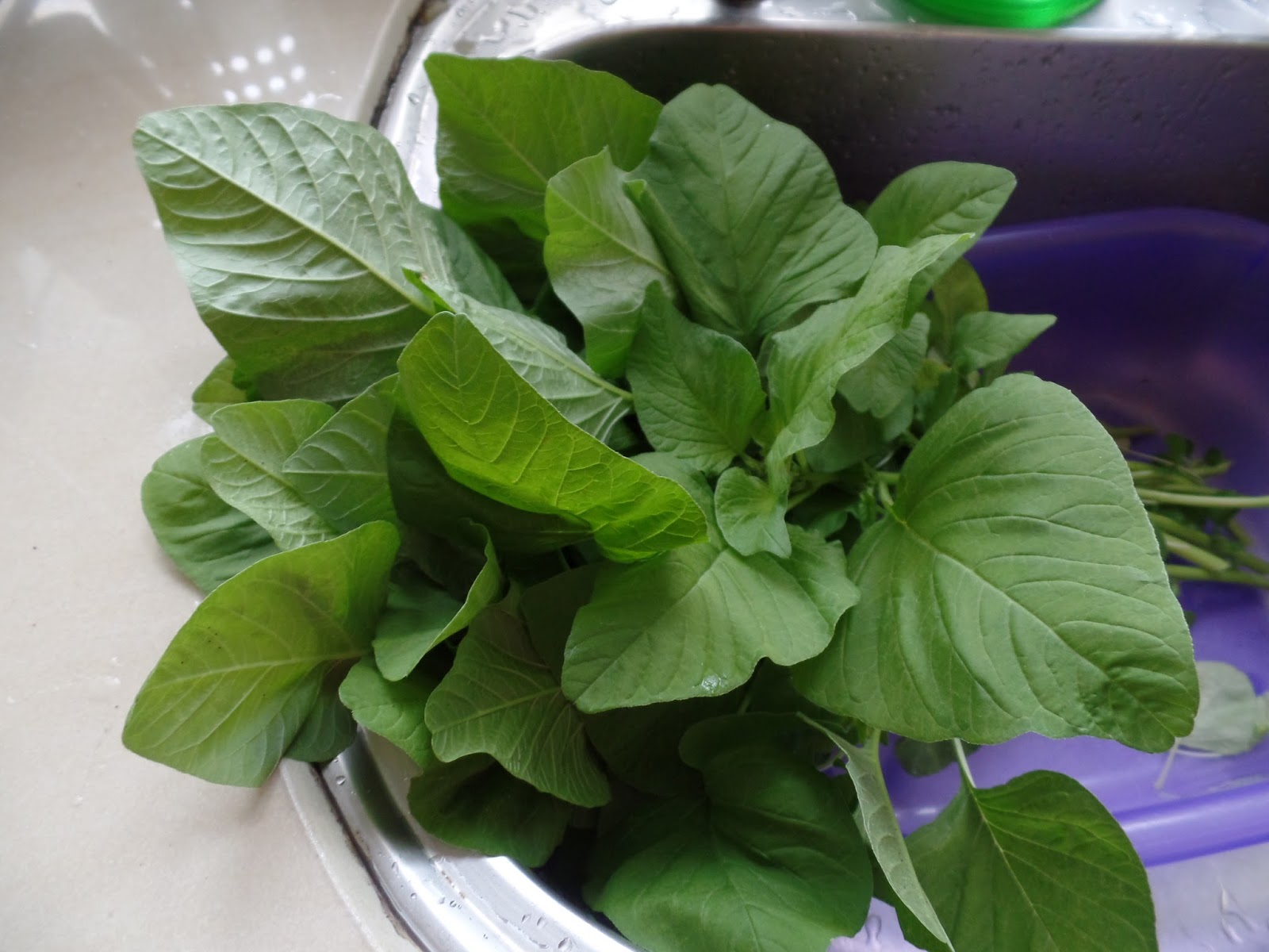 kitchen flavours Chicken, Spinach and Noodles Broth