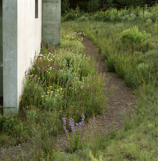 ARAÑAZOS EN EL CIELO: Paisajismo a favor del paisaje