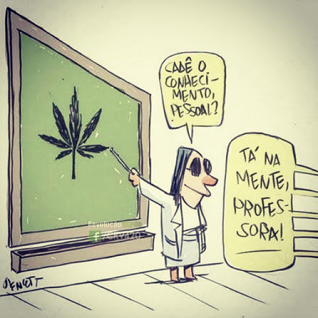 Descriminalização da Maconha no Brasil Descriminalização da Maconha no Brasil