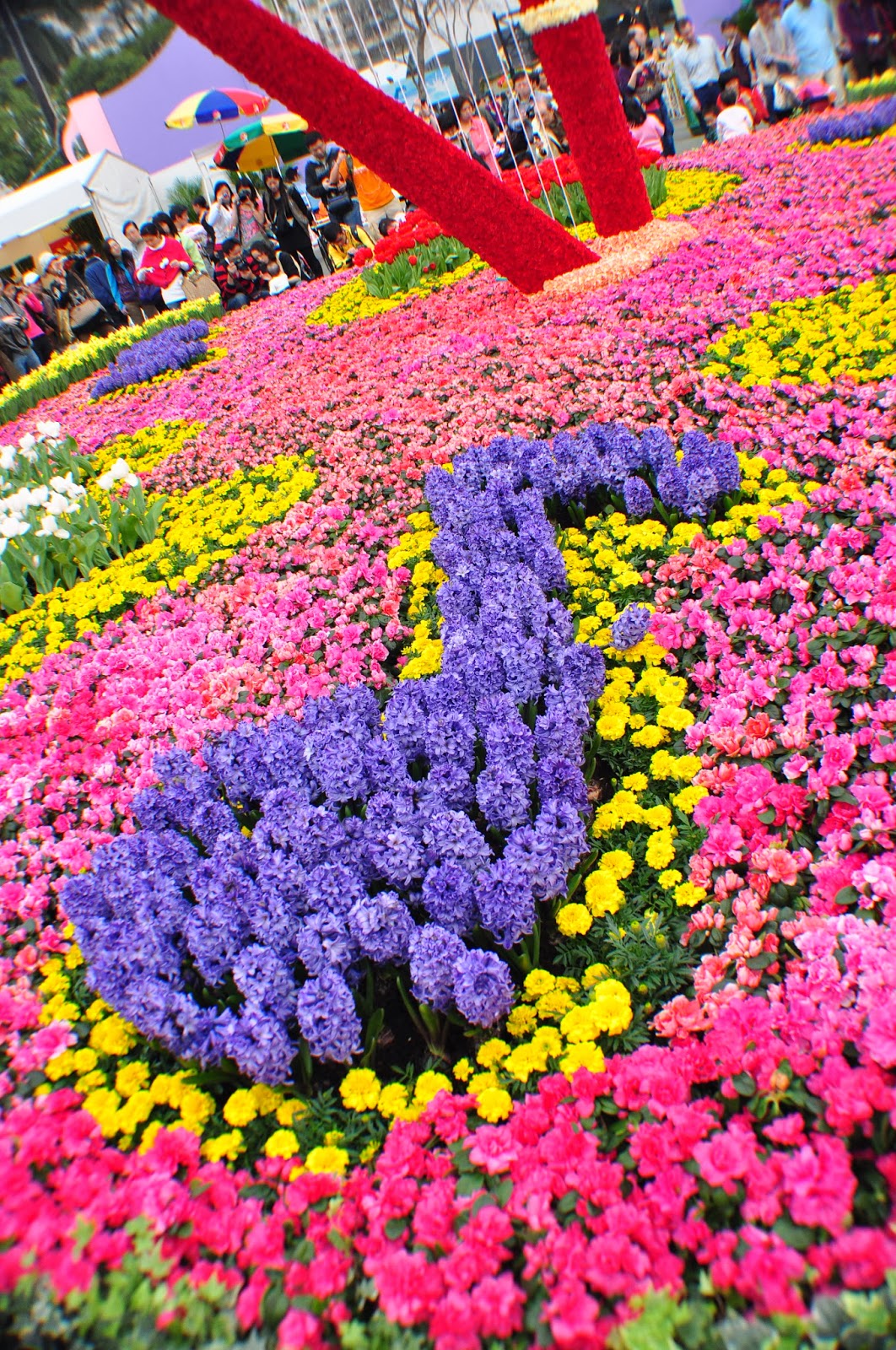 Hong Kong Flower Show 2011 at Victoria Park Hong Kong Trip Day 3