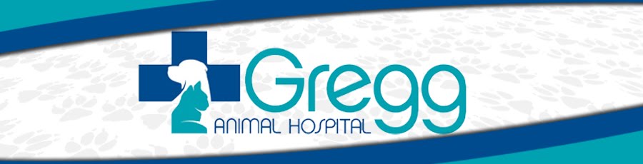 Gregg Animal Hospital