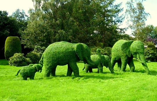 Kreativiti seni gubahan pokok hiasan - Relaks Minda