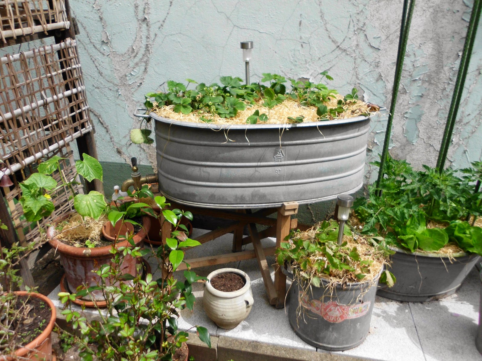 Litonya: Garten, Seifen und noch mehr