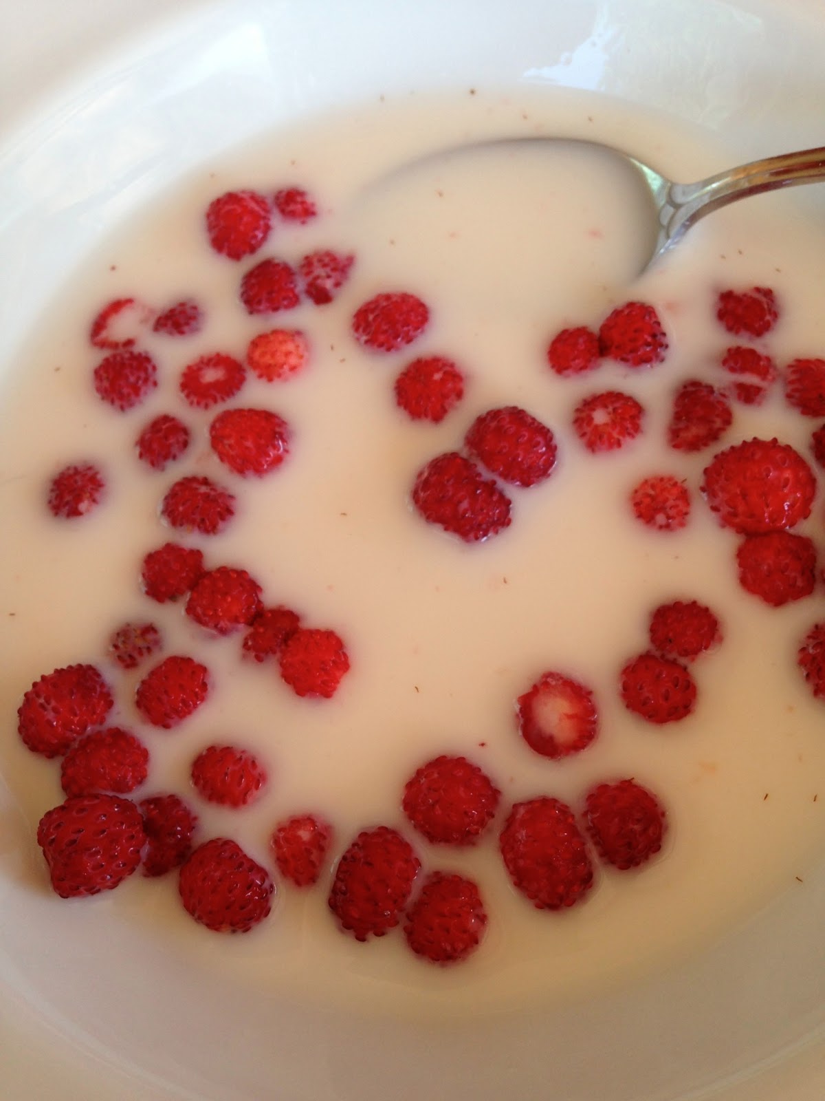 date coach kydon tay