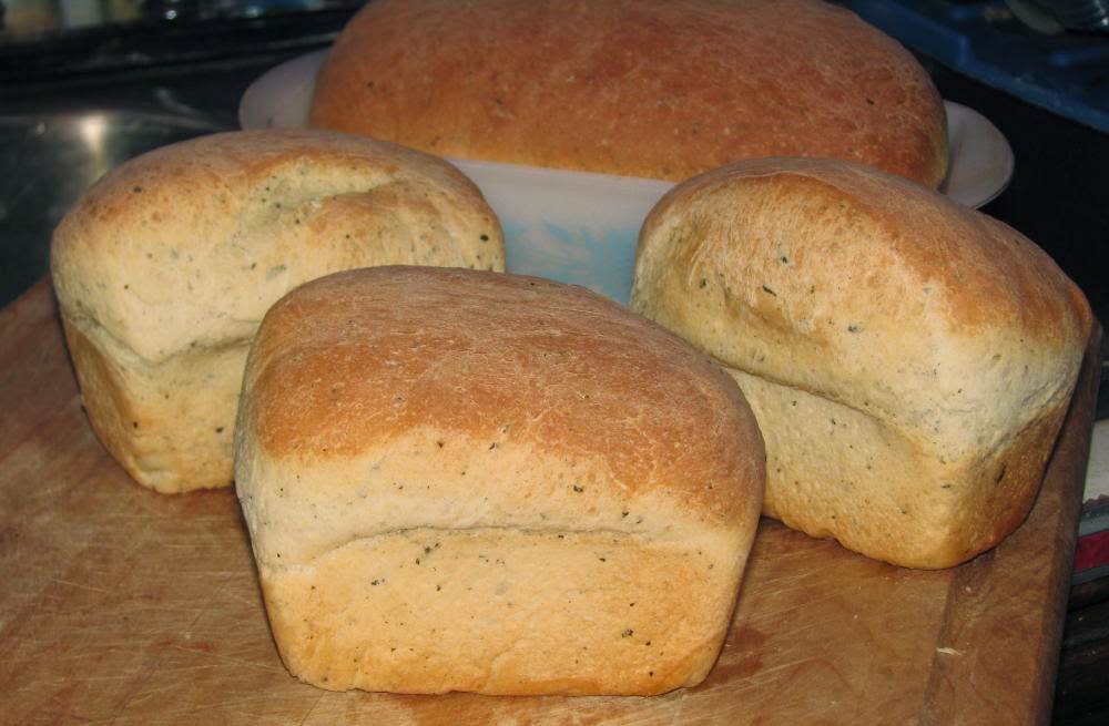 Angelgirlpj Herb Bread Recipe High Gluten and Delicious
