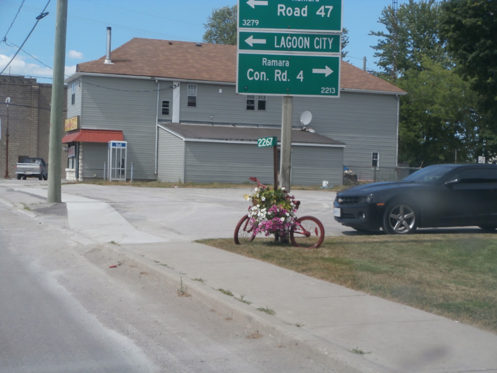 blue bikes in brechin
