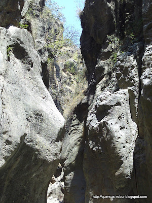 Paredes del cañón Azul Turquesa