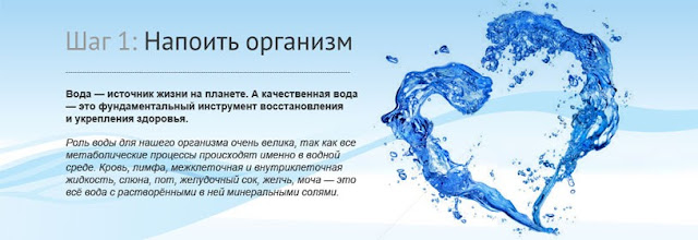 питье от паразитов питье от паразитов