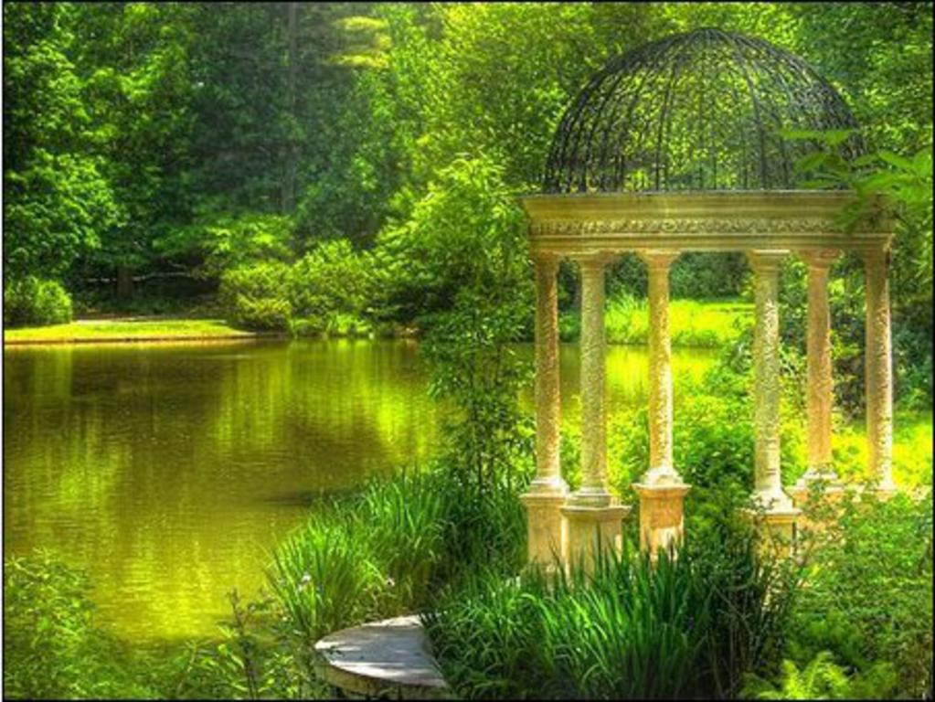 Le foto più belle Mythical garden