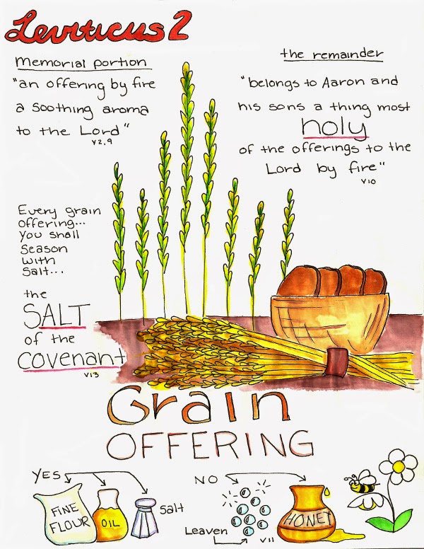 Doodle Through The Bible Leviticus 2