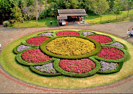 flowers for flower lovers.: flowers gardens.