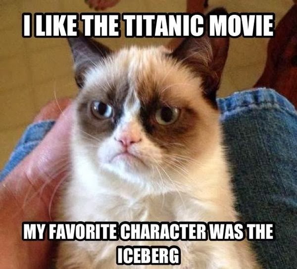 Ten Things About Cats And Dogs Movie Ten Things About Cats And Dogs Movie