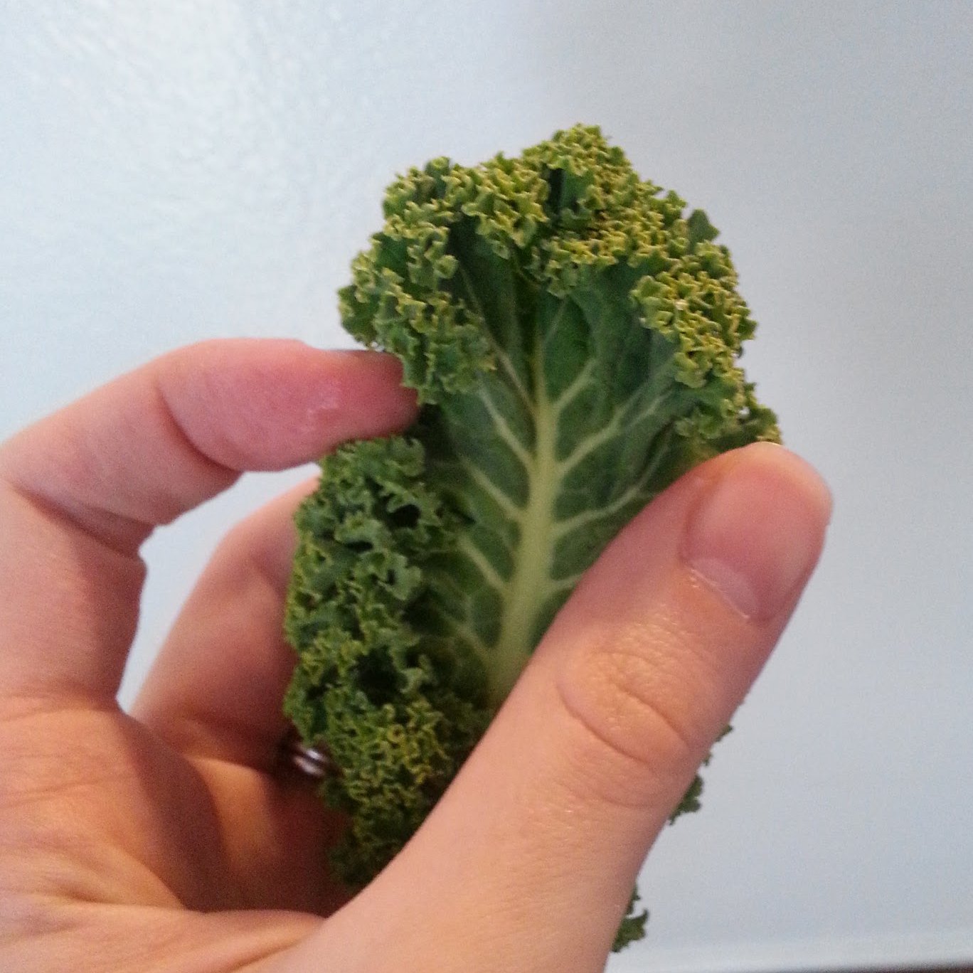 No Need Of Spoil Crispy Kale Chips in the Microwave