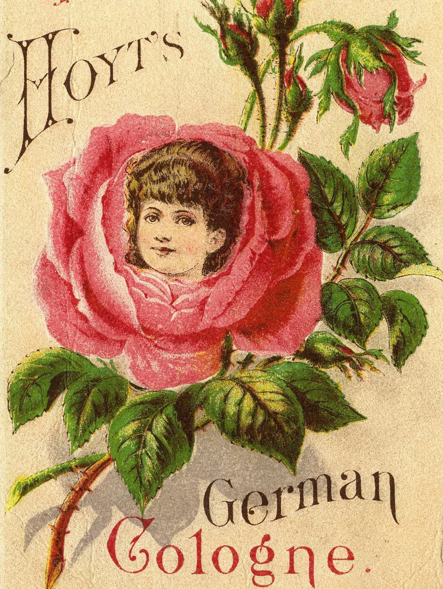 Little Birdie Blessings Scripture Thursday A Sweet Smelling Aroma