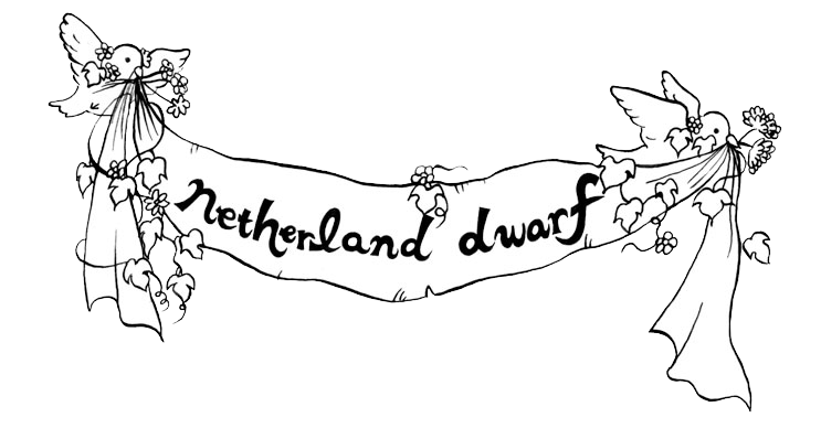 netherland dwarf