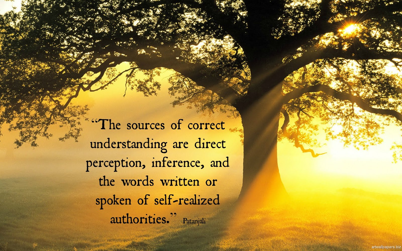 The Sources of Correct Understanding