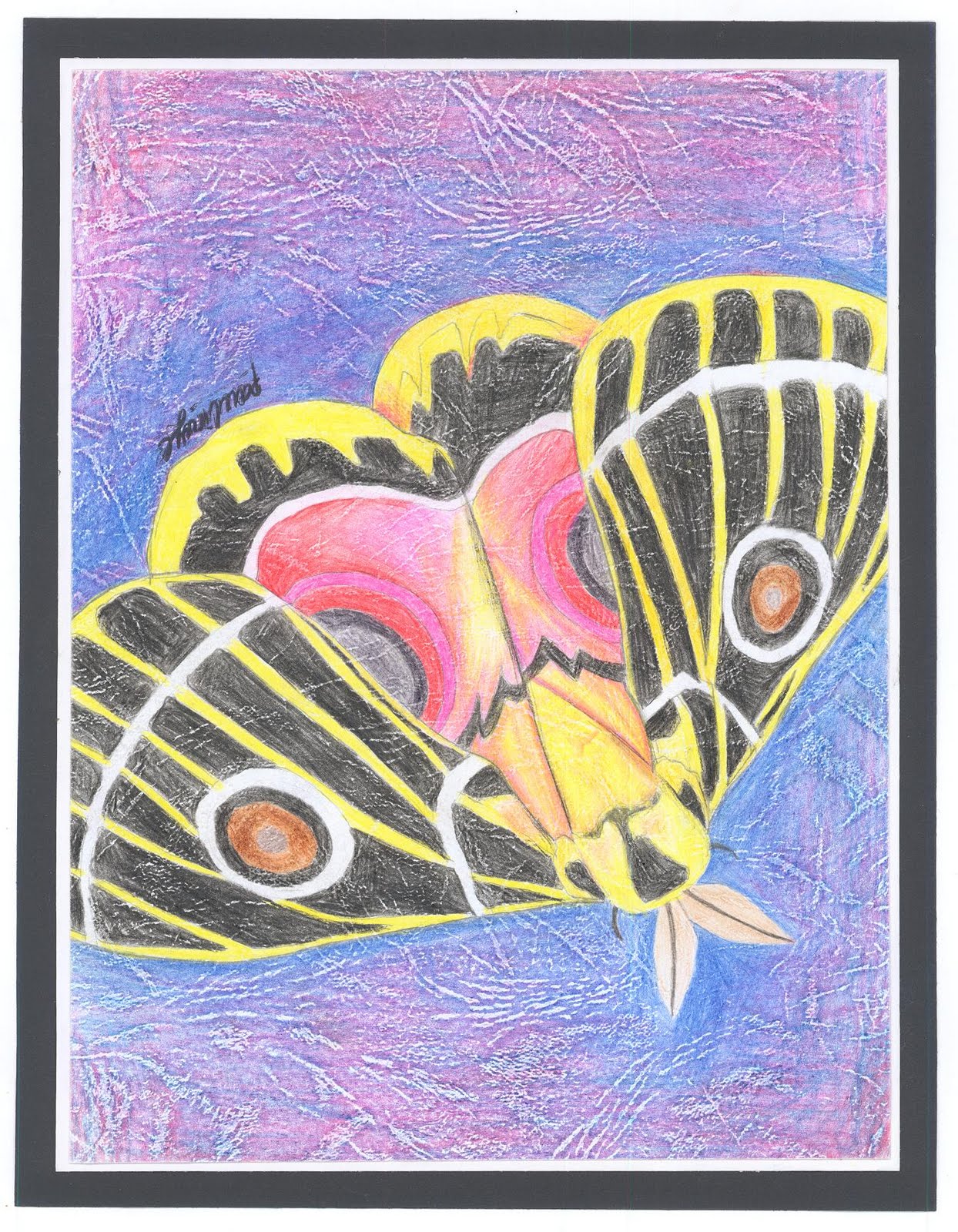 Paul Iroye Butterfly Paintings | pauliroye