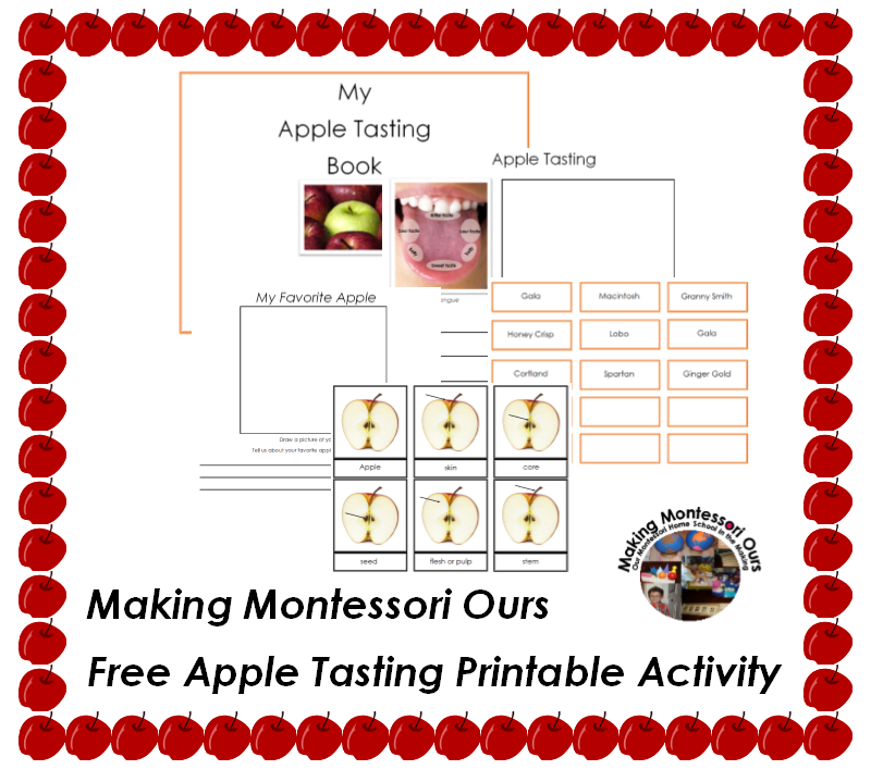 "Making Montessori Ours" Apple Tasting Activity!