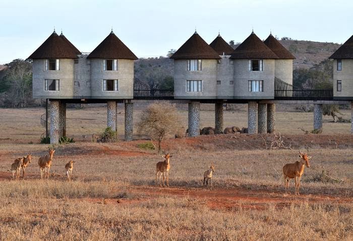 Sarova Saltlick Lodge - Kenya Safari Sarova Saltlick Lodge Kenya Safari