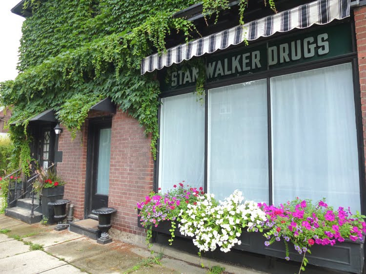 Occasional Toronto August 2011