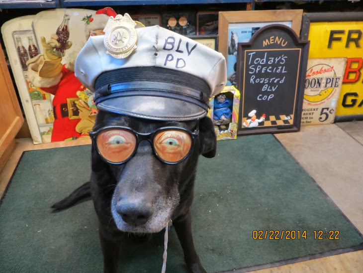 The Blog Cam dog Buddy L has been doing Brady Lake Village PD under-cover work,for dog snacks  !