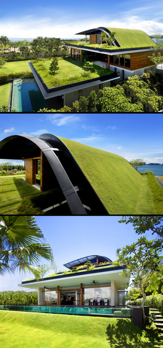 This Ugly Old House: Green Roofs part 1 What is a green roof? sky garden house