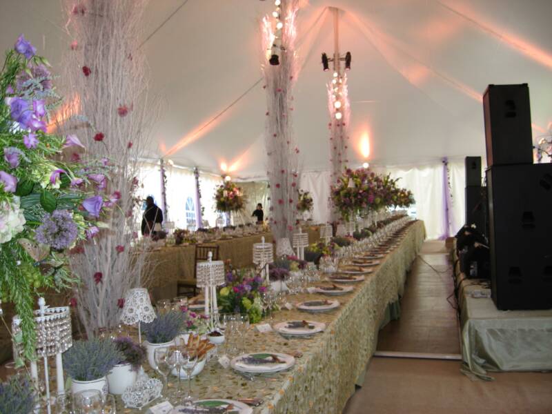 Shadi Pictures 08/30/11