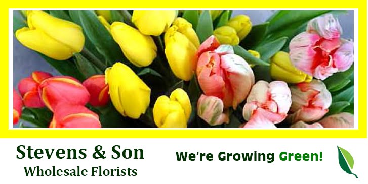 Stevens and Son Wholesale Florist