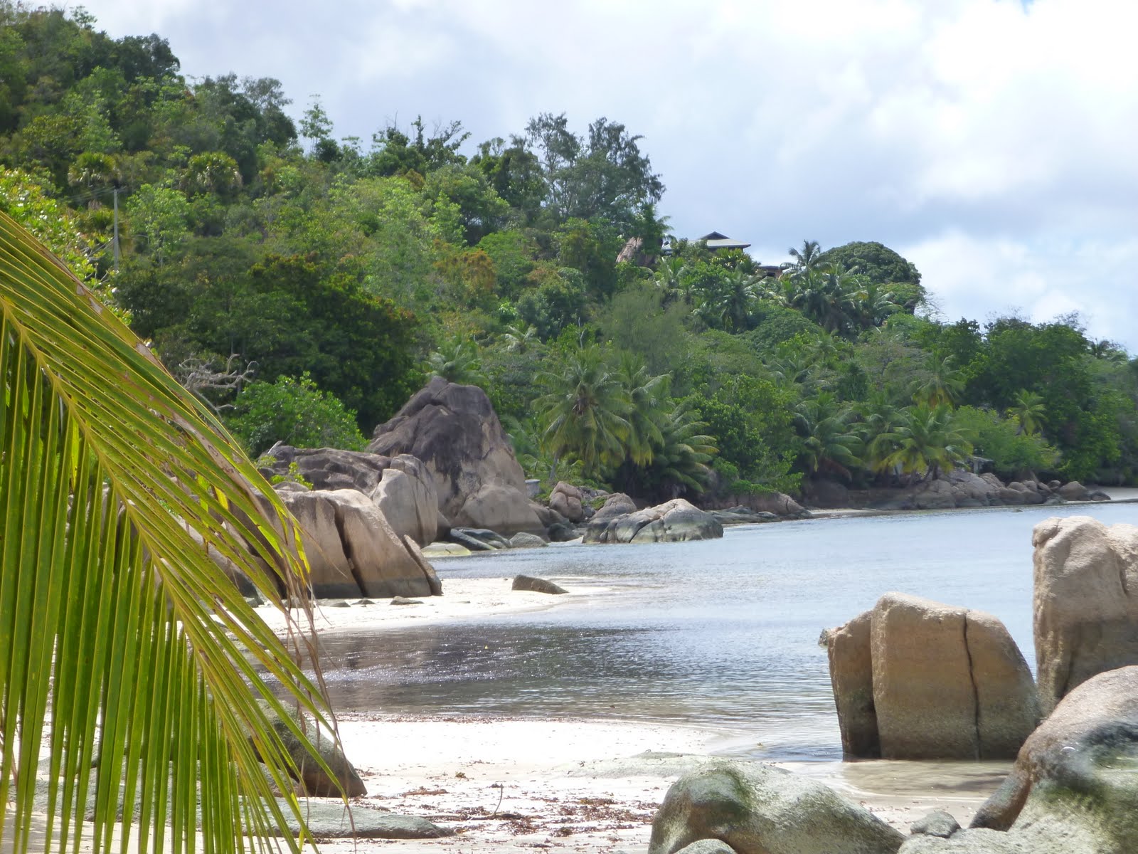 Jour 11 [Praslin] De Grand'Anse à Anse Volbert Plongée et farniente