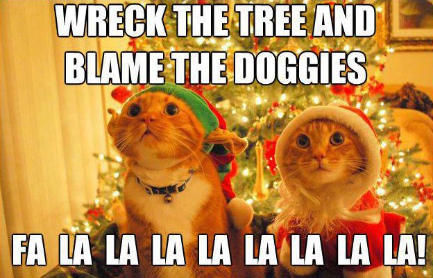 Cats+wreck+tree+and+blame+the+doggies.jpg