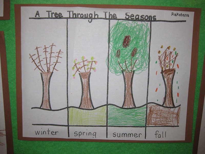 Kindergarten Activities For Trees
