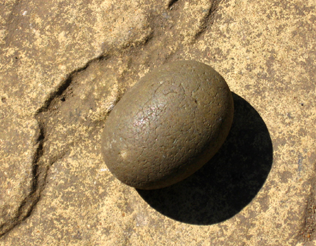 Pebble watch | RTG Sunderland Message Boards