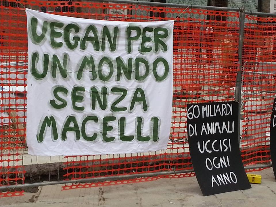 Attivismo Coordinamento LAM, Bologna anno 2016
