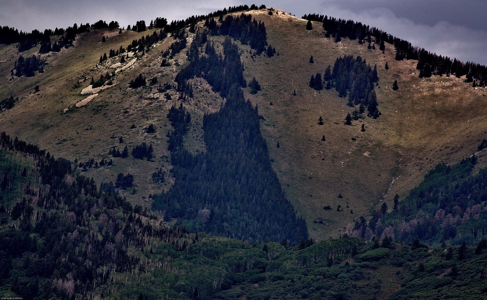 The Southwest Through Wide Brown Eyes Known and Unknown Sites In and