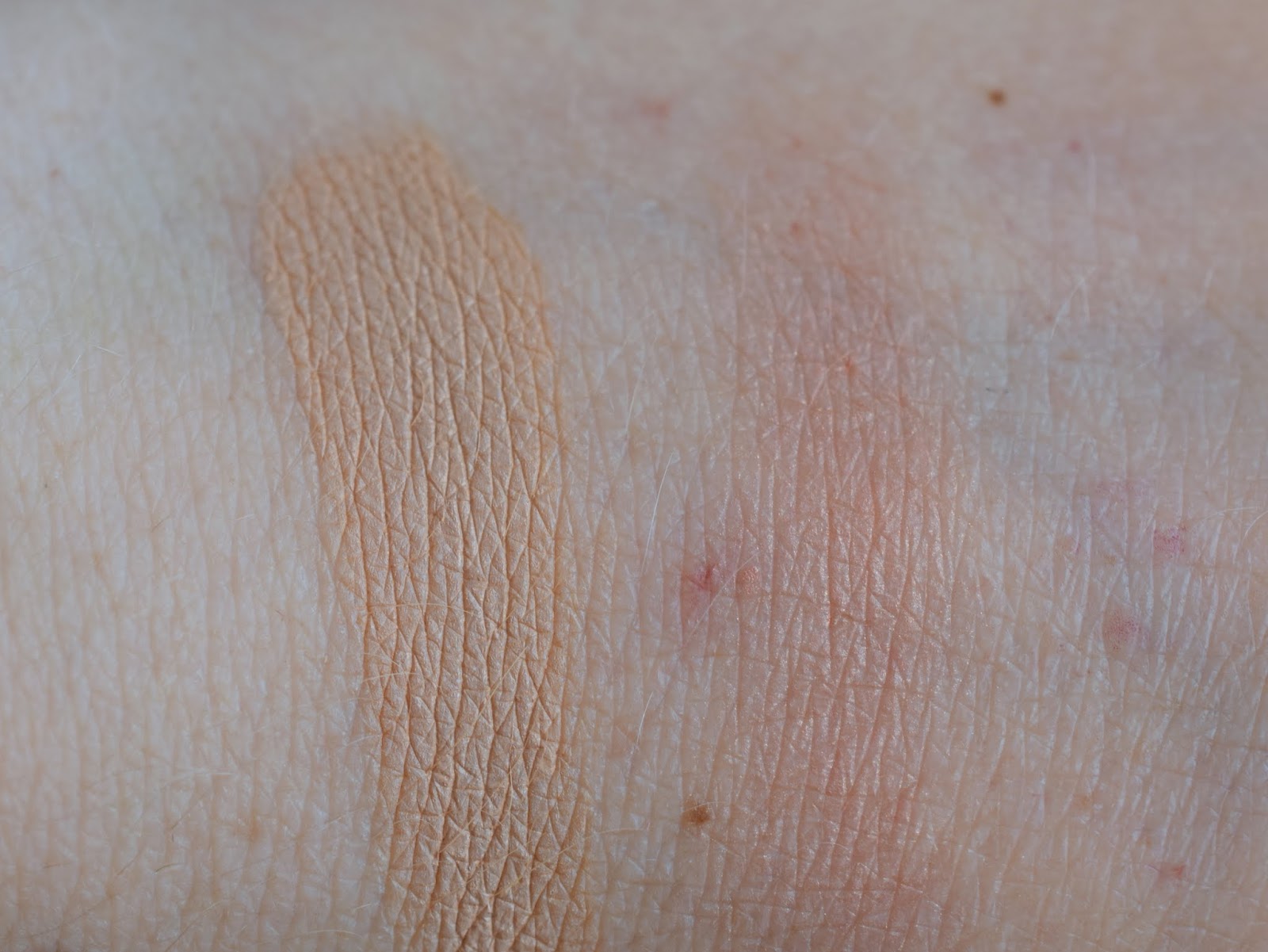 Shiseido Swatch Foundation und Blush Shiseido Swatch Foundation und Blush