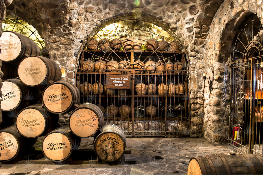 Guadalaja Tours Guadalaja Tours