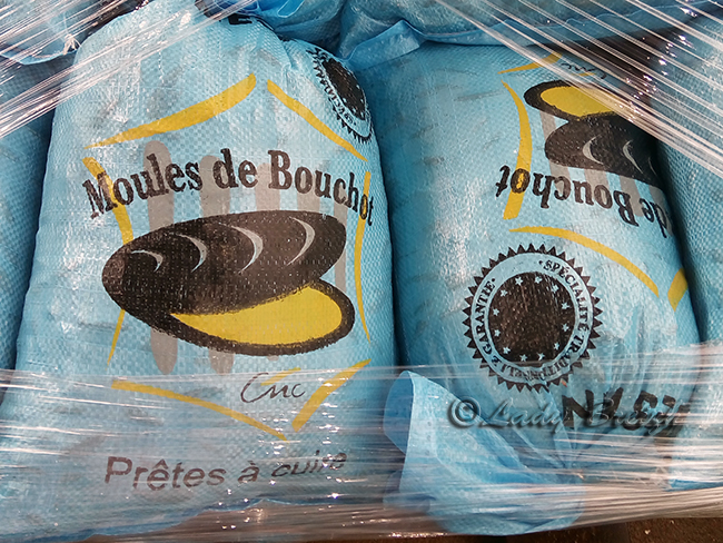 site de rencontre penestin